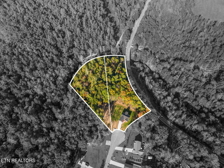 Property Photo: 523 Ferry Bend Tr TN 38571