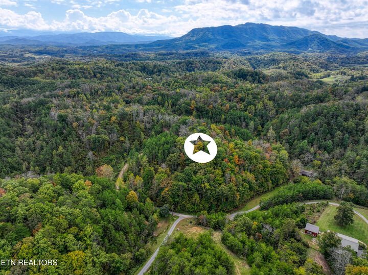 Property Photo: 2521 Audley Moore Rd TN 37876
