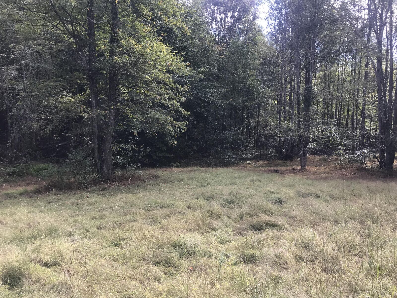 Property Photo: 0 Farmhouse Trail 91.2 Acres Land KY 40351