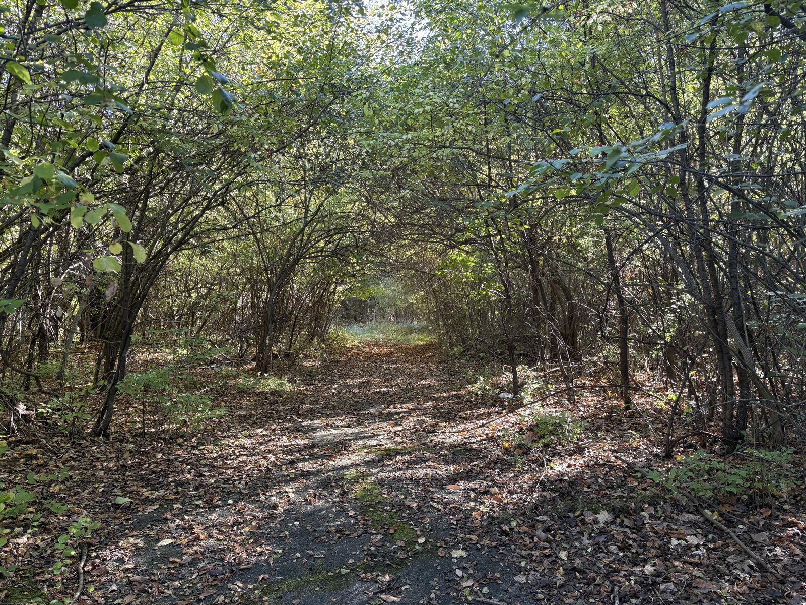 Property Photo: Vl 29 Clinton Way MI 49201