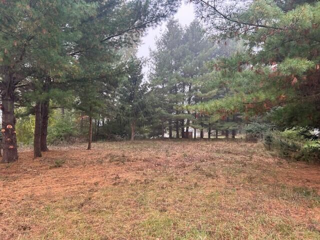 Property Photo: 7125 Holiday Drive MI 49346