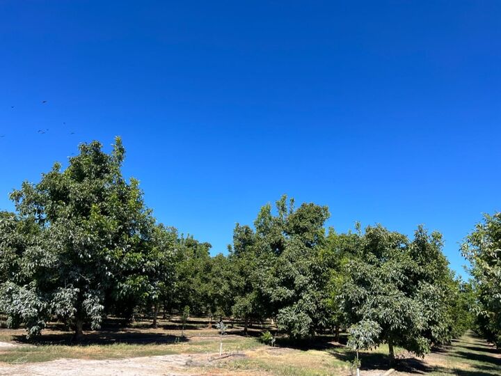 Property Photo: 0 Hwy 99 CA 95991