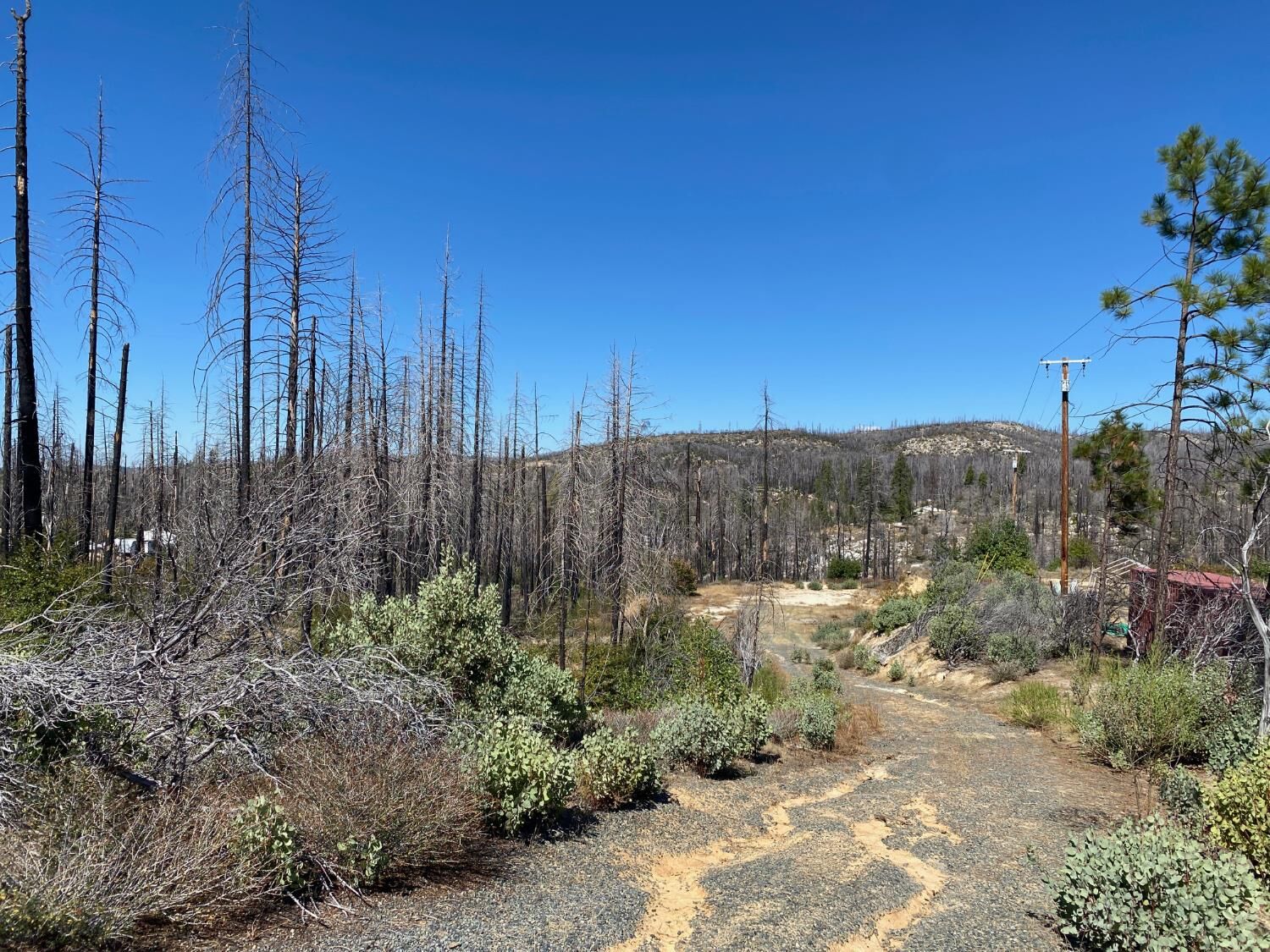 Property Photo: 1465 Bald Rock Road CA 95916