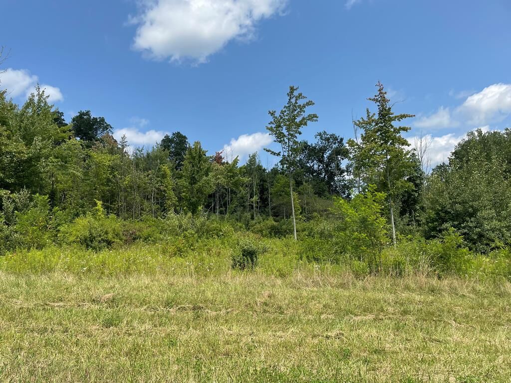 Property Photo: Lot 11A Hemlock Hills Rd PA 18848