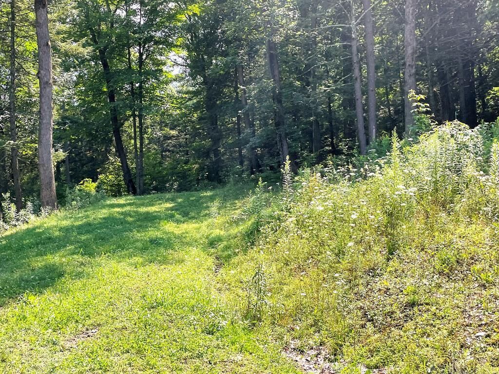 Property Photo: Lot 35A Hemlock Hills Rd PA 18848