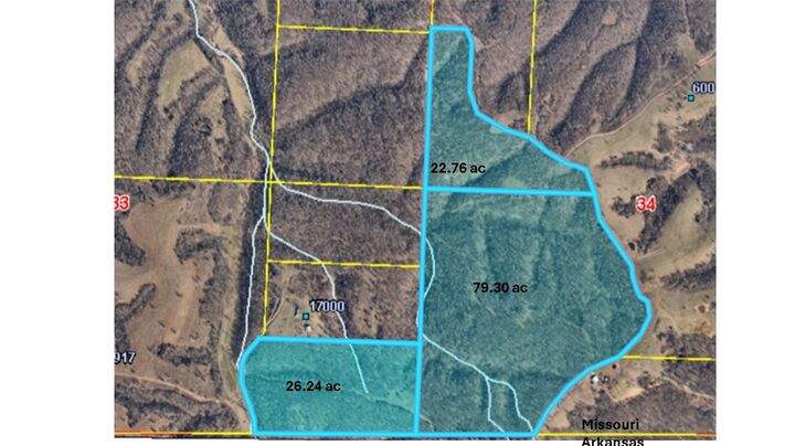 Property Photo:  Tract 7 Styles Road  MO 64854 