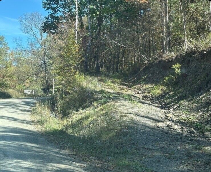 Property Photo: 00 Dalton Hill Road NY 13811