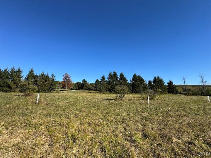 Property Photo:  County Road 96  NY 14840 