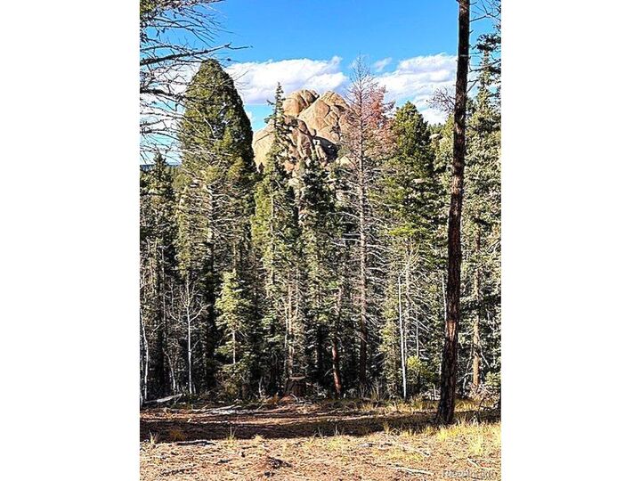 Property Photo:  195 Oxford Pl  CO 80816 