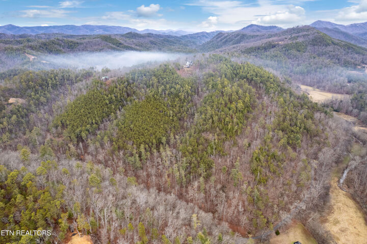 Property Photo: 504 Twin Oak Mountain Lane TN 37882