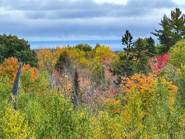 Property Photo: 1541 Camp 20 Rd MN 55606