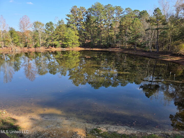 Property Photo:  918 Spring Hill Road  MS 39470 