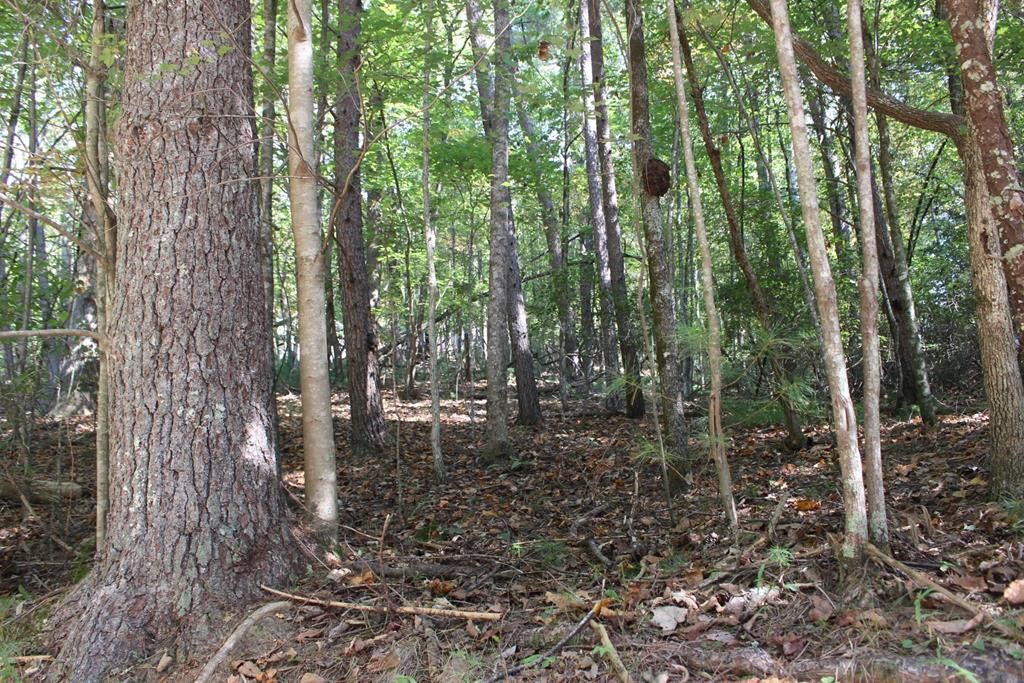 Property Photo: Lot 546 North Satsuma Court GA 30540