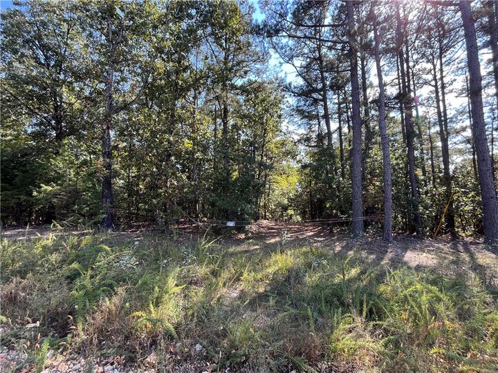 Property Photo: Tbd Cr 240 AR 72631
