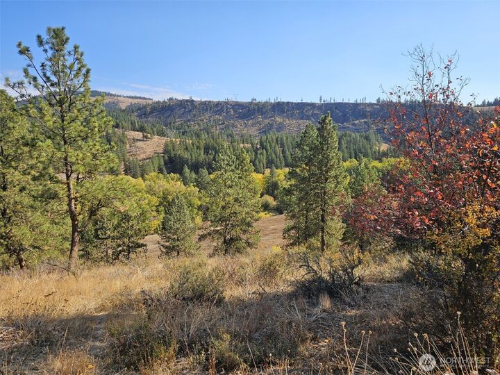 Property Photo: 2 D Swauk Pines Road WA 98922