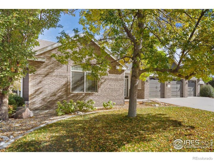 Property Photo:  975 Norway Maple Drive  CO 80538 