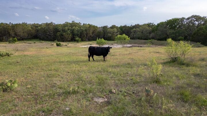 Property Photo:  Tbd County Road 105  TX 76550 