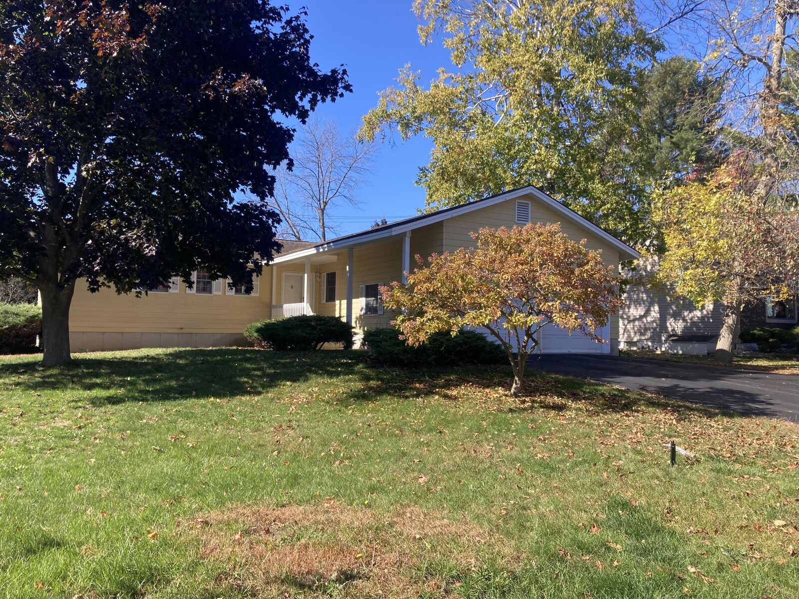 Property Photo: 5 Erin Avenue NY 12901