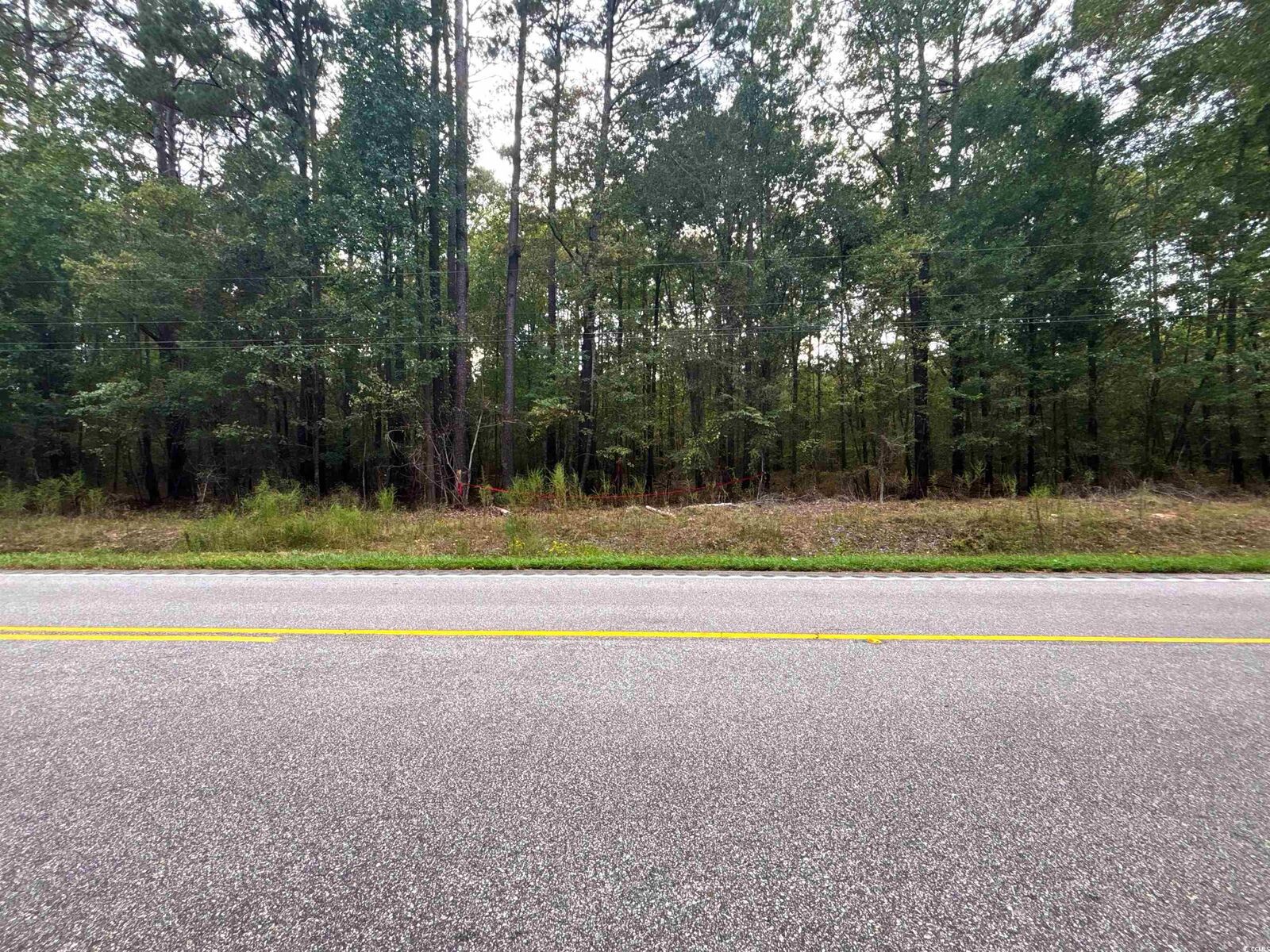 Property Photo: 0 Marlboro Way SC 29512
