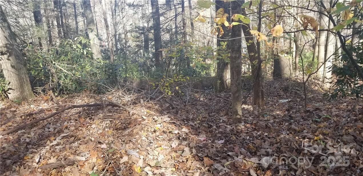 Property Photo: Lot C31 Shady Lane NC 28751