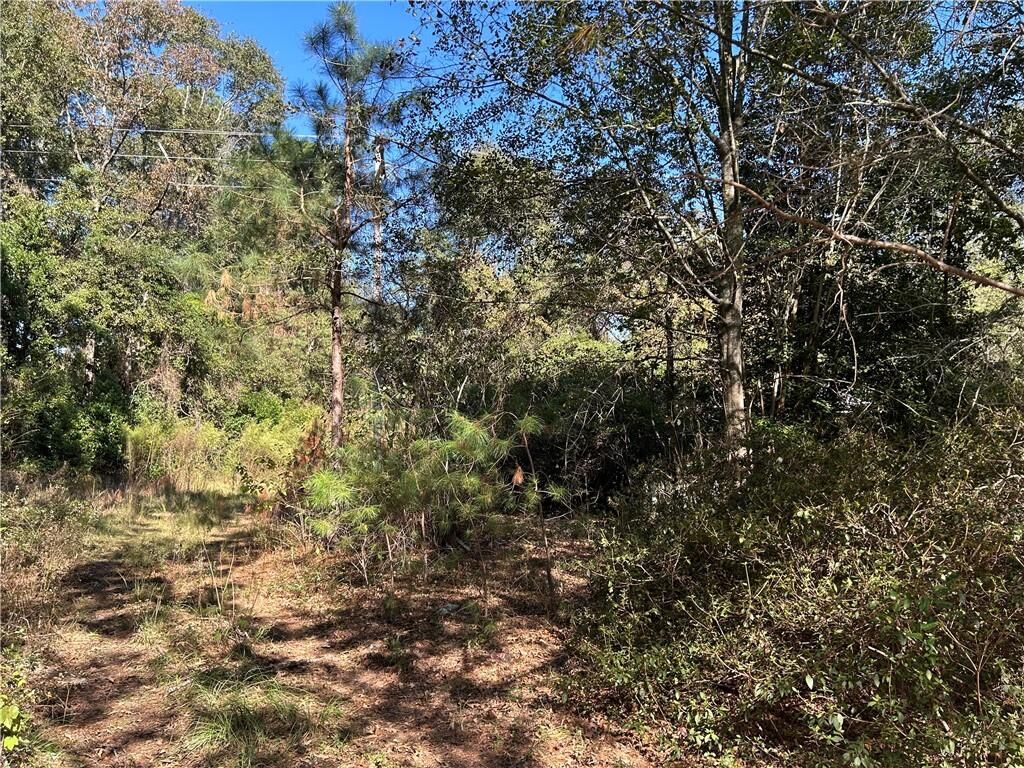 Property Photo:  2581 Old Riggs Mill Road  GA 30458