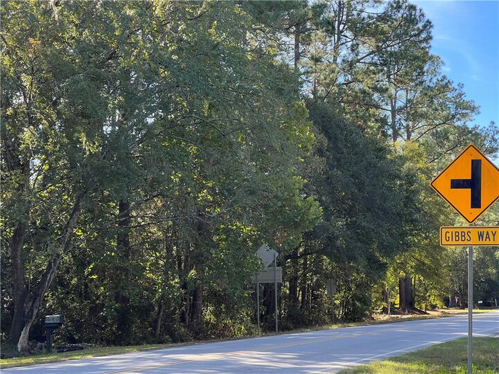 Property Photo:  0 US Highway 17 Highway  GA 31565 