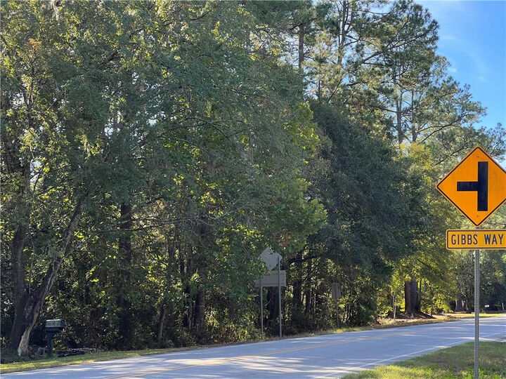 Property Photo: 0 US Highway 17 Highway GA 31565