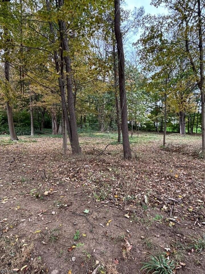 Property Photo:  60 Spring Valley Rd  NJ 07960 