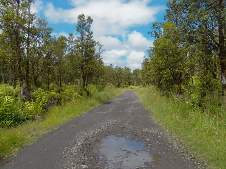 Property Photo:  Naia St  HI 96771 