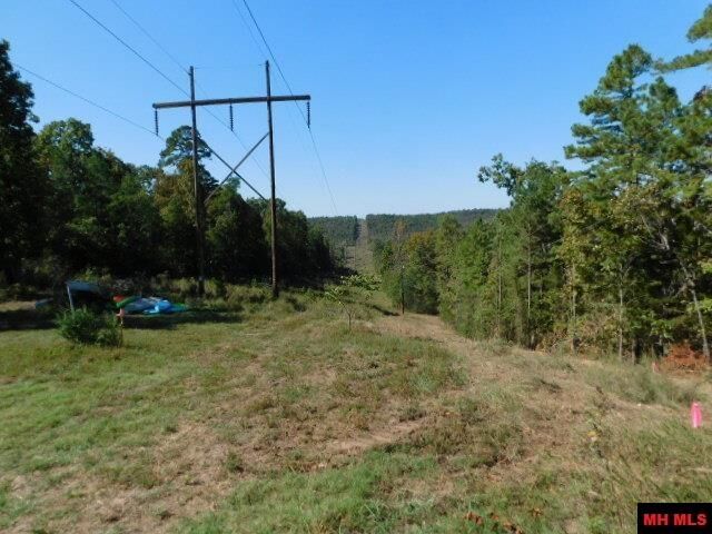 Property Photo:  009-02955-000 Owens Drive  AR 72653 