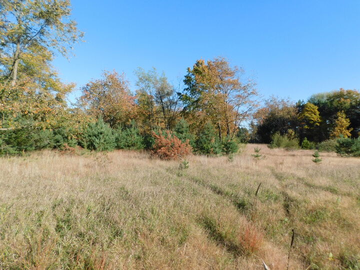 Property Photo:  10 N Ravenna Road  MI 49451