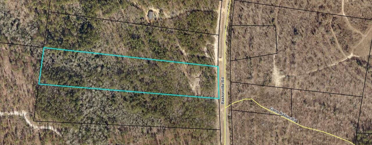 Property Photo: 0 Bastonville Road (Tract 14) GA 30810