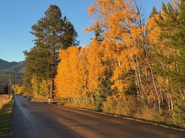 Property Photo:  573 Armory Road  MT 59937 