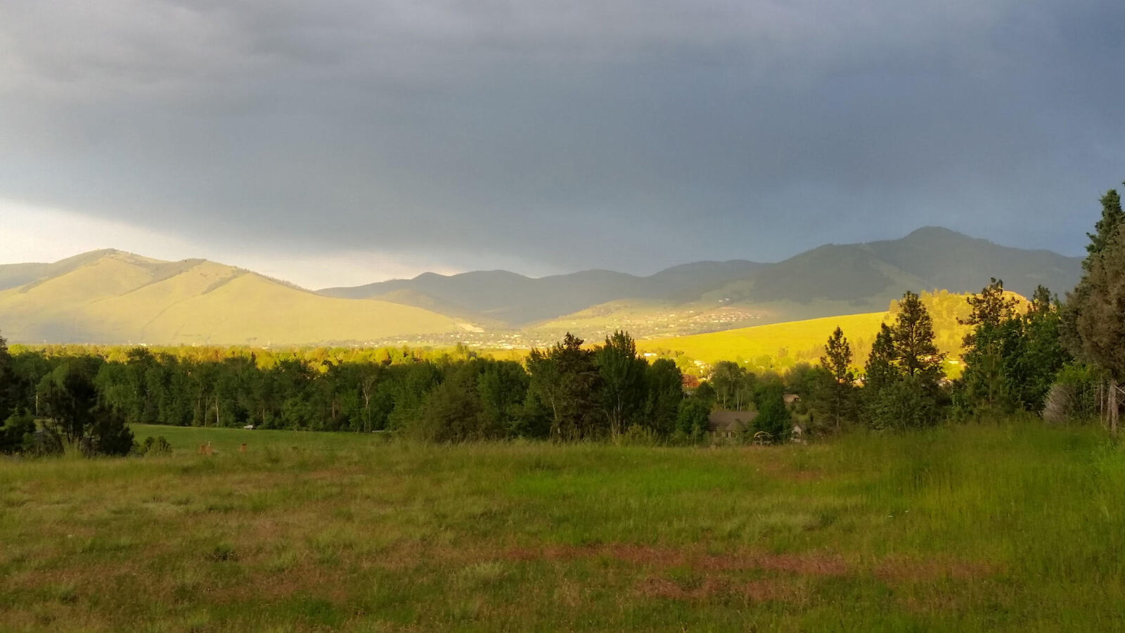 Property Photo:  325 Big Flat Road  MT 59804 