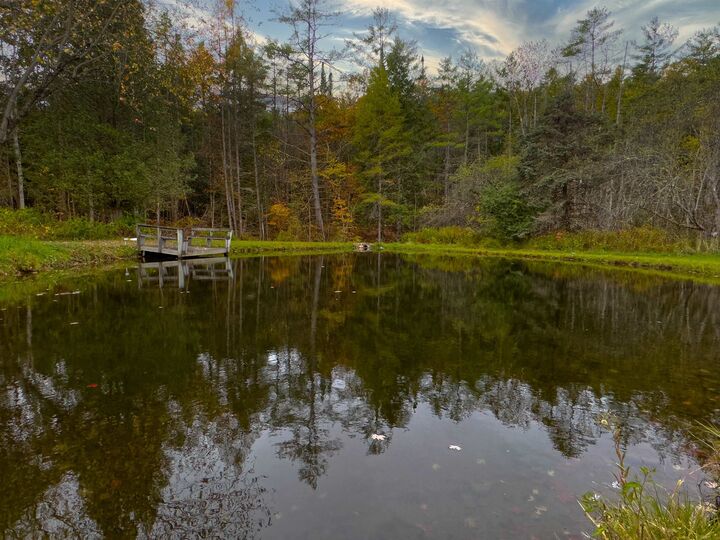 Property Photo:  433 Grange Hall Road  NH 03771 