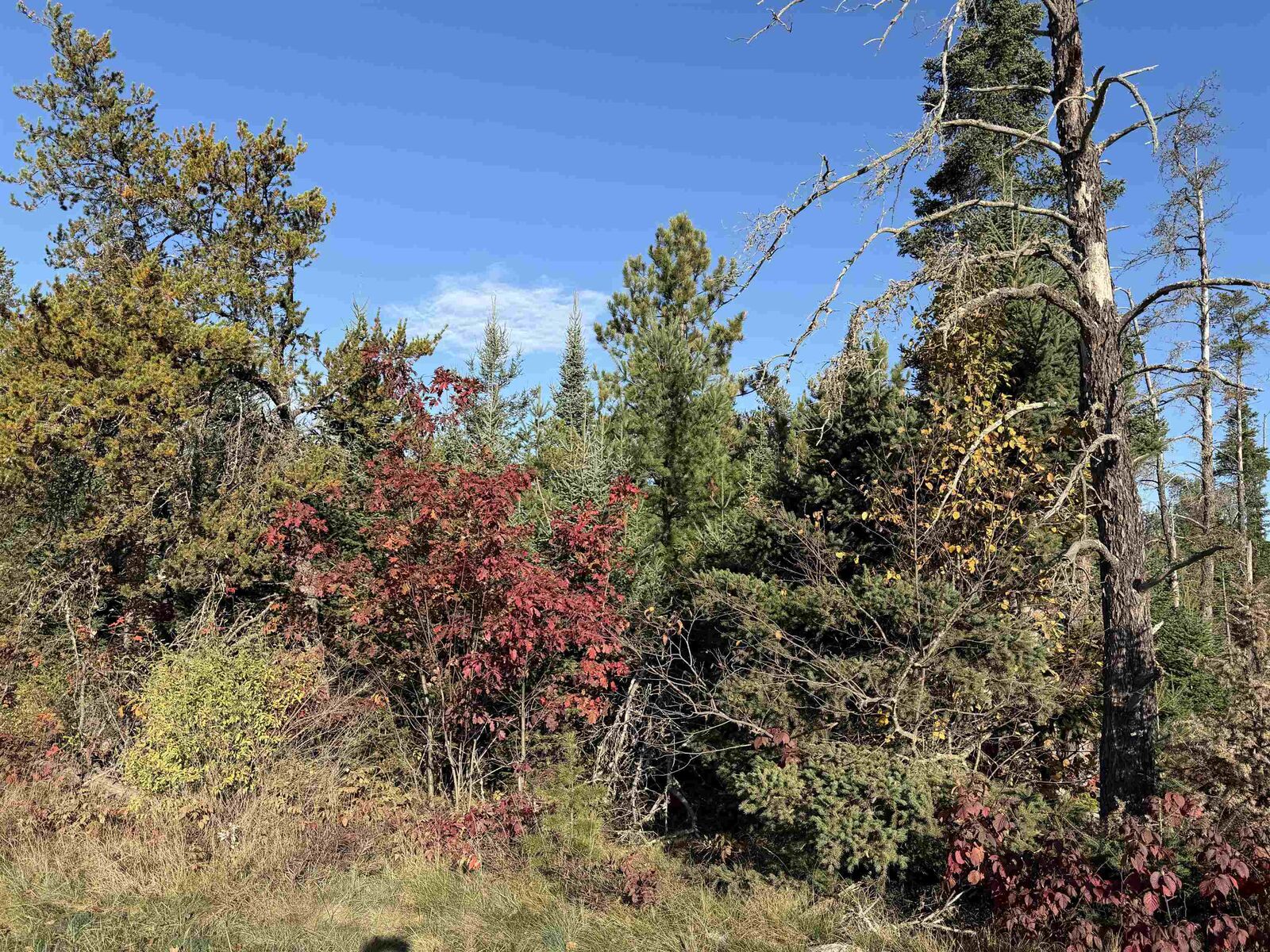 Property Photo: Riverview Road WI 54149