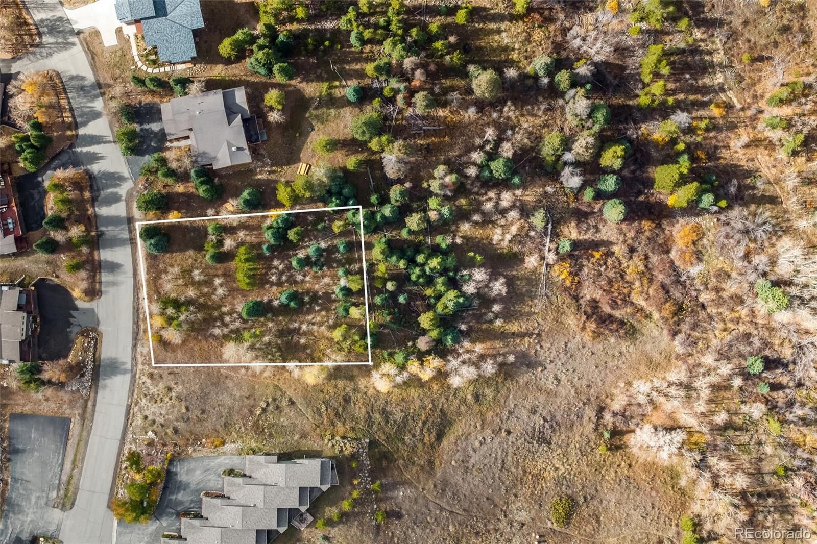 Property Photo:  228 Fawn Court  CO 80498