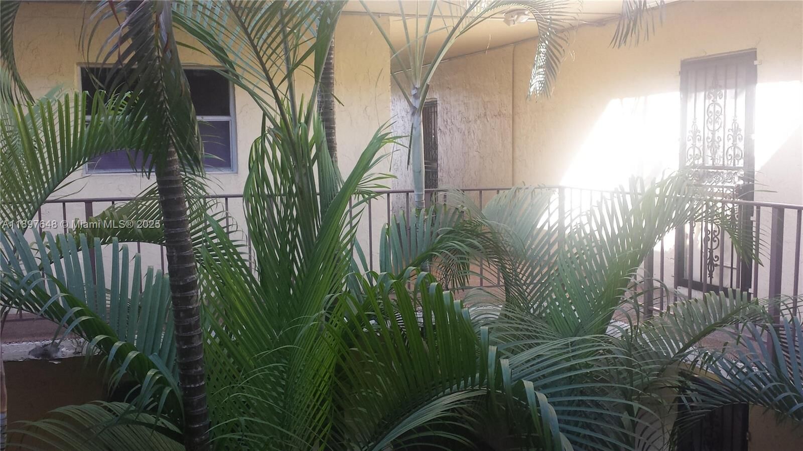 Property Photo: 11905 NE 2nd Ave C308 FL 33161