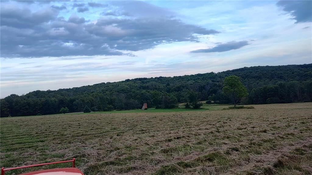 Property Photo: 45 Kronus Road NY 14838