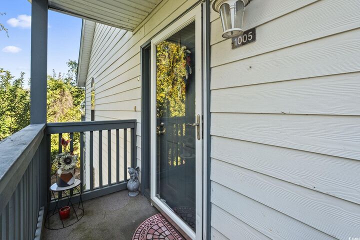 Property Photo:  4349 Spa Dr. 1005  SC 29566 