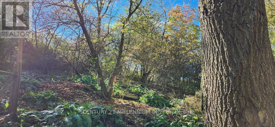 Property Photo:  Mill Street  ON L9W 3Z3 