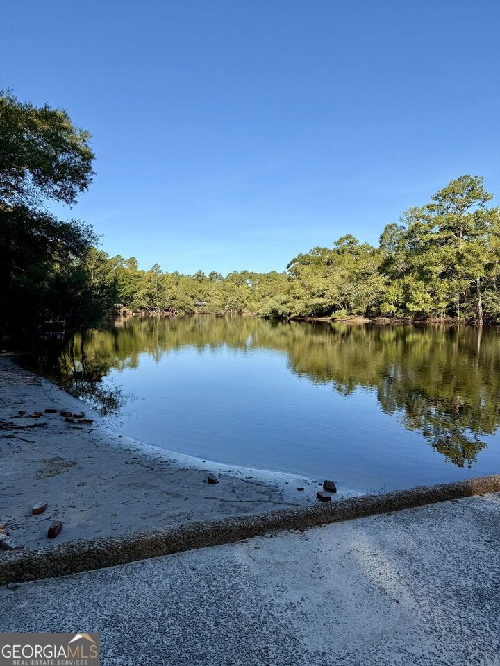 Property Photo: 0 Warners Landing Road GA 31543
