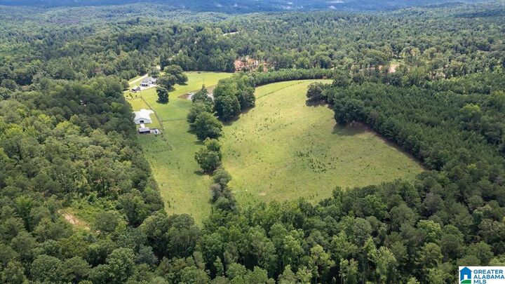 Property Photo:  00 County Road 19 0  AL 36264 