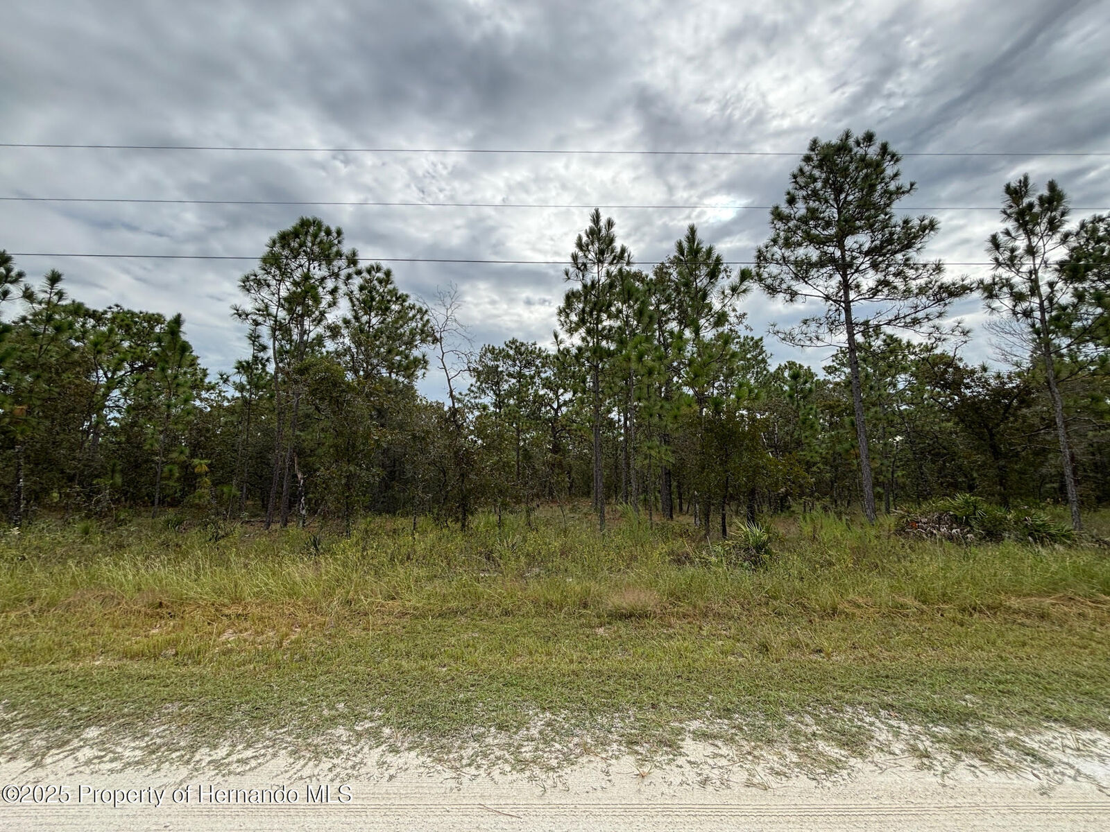 Property Photo:  Lot 2 Jenifer Lane  FL 34614 
