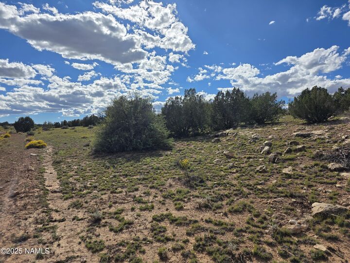 Property Photo:  6154 Fire Sky Trl Lot A  AZ 86046 