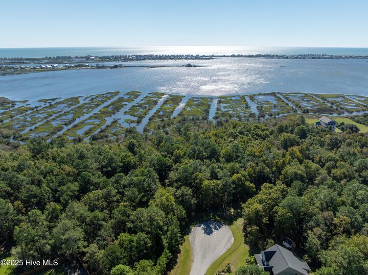 Property Photo:  186 Snow Goose Lane  NC 28460