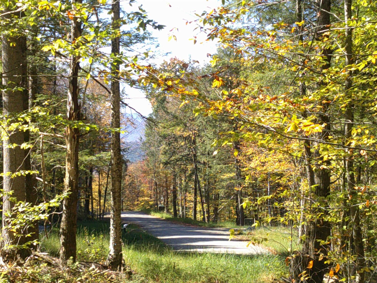 Property Photo:  0 Dogwood Springs Road  VT 05672 
