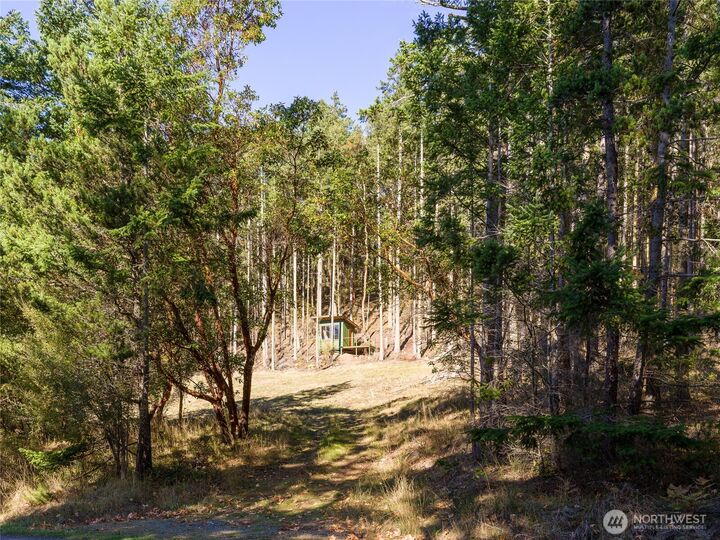 4071  Mud Bay  Lopez Island WA 98261 photo