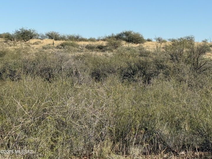 Property Photo: Lot 105 E Cottontail Trail AZ 85630
