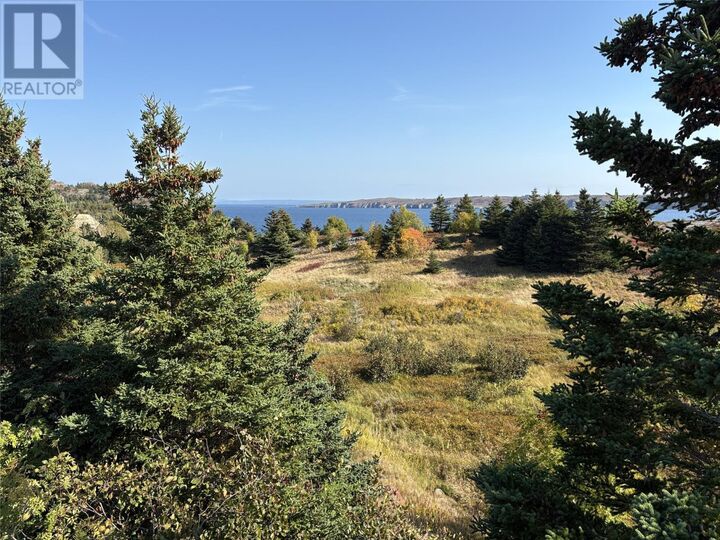 Property Photo:  742-744 Water Street  NL A0A 1G0 